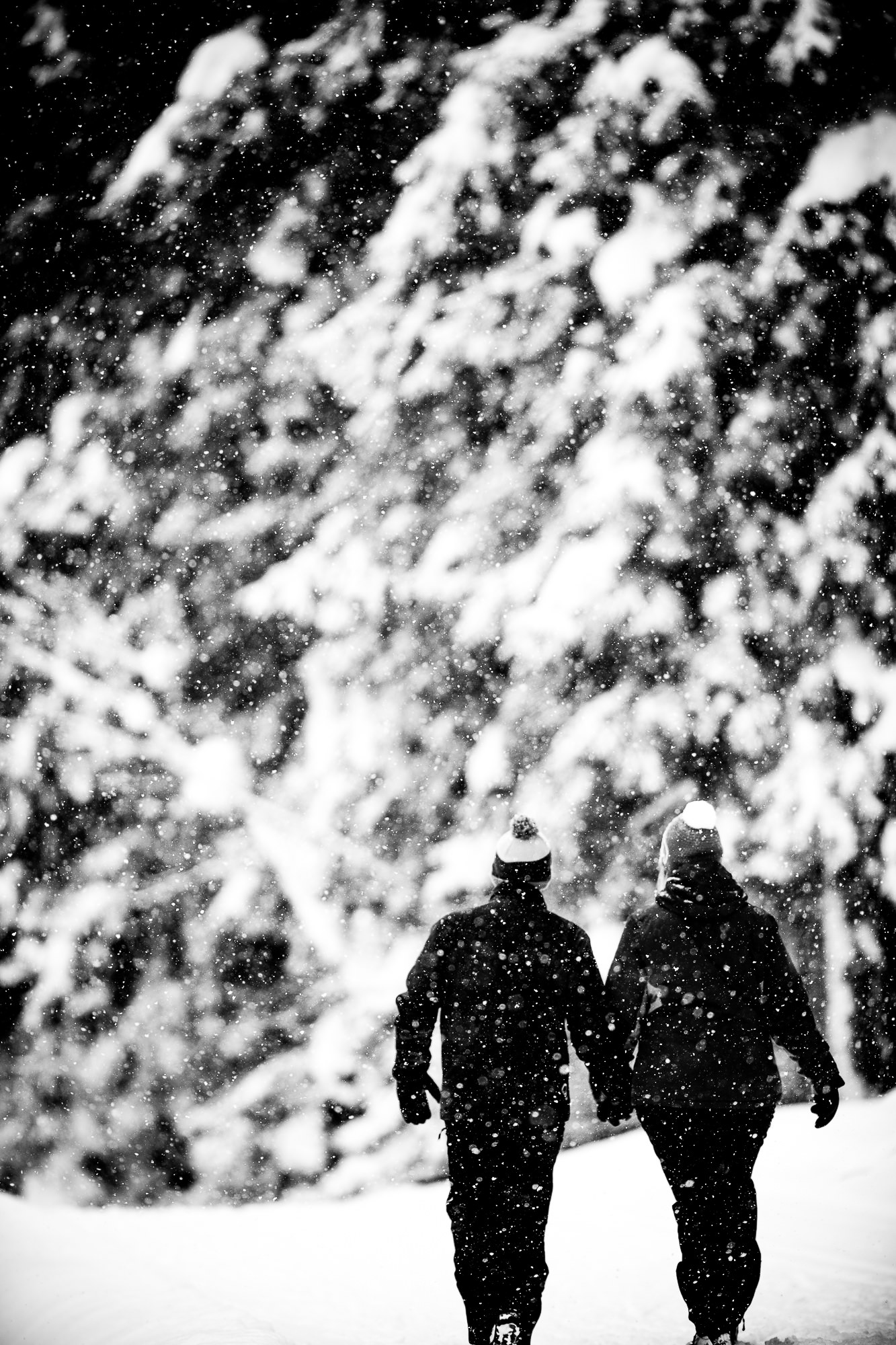 Export x3 1DX28954 Verlobungsfotoshooting 2018 Anna & Dominik 3